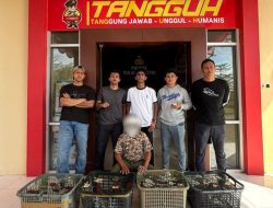 Polres Morotai Gagalkan Penyelundupan 39 Satwa Endemik, Pelaku Diamankan