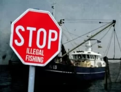 Hippmamoro Minta Pemkab Morotai Tindak Tegas Kapal Pencuri Ikan