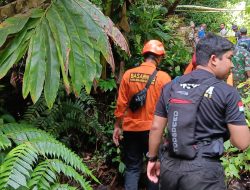 Tim SAR Hentikan Pencarian Nenek yang Hilang Misterius di Kebun Ternate