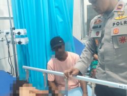 Serangan Babi Hutan di Ternate Lukai Ibu dan Anak