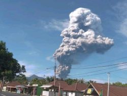 Abu Vulkanik Gunung Dukono Meningkat, Warga Halut Diimbau Pakai Masker