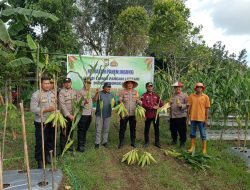 Polres Morotai Panen Jagung Dukung Ketahanan Pangan