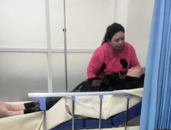 Diduga Kasar dan Arogan, Sikap Eks Wakapolres Taliabu Bikin Istri Jatuh Pingsan 