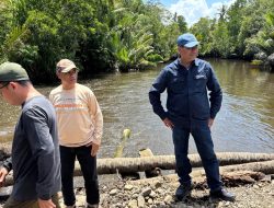 Gerak Cepat, Bupati Halmahera Timur Tinjau Perbaikan Jembatan Darurat