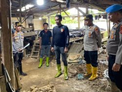 Satu Lagi Tambang Emas Ilegal di Halmahera Selatan Ditutup Polisi