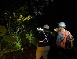 Menjaga Warisan Alam Obi: Harita Nickel Lestarikan Flora dan Fauna Endemik lewat Pemantauan dan Edukasi Karyawan