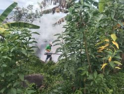 NHM Fasilitasi Fogging di Lokasi Rawan DBD Desa Bobane Igo