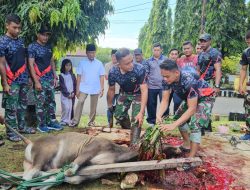 Lanal Ternate Sembelih 7 Ekor Sapi Kurban, Daging Dibagikan ke Warga