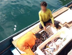 Polairud Polda Malut Tangkap 6 Pelaku Bom Ikan di Laut Halmahera