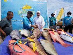 Obi Fishing Tournament 2025: Tangkapan Ikan Melimpah, Produktivitas Perairan Kawasi Terjaga