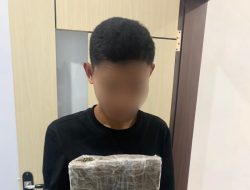 Ambil Paket Ganja di Jasa Pengiriman, Mahasiswa di Ternate Diciduk Polisi