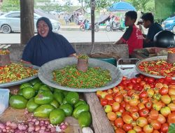Pembeli di Pasar CBD Morotai Mulai Meningkat, Pedagang Ikan Masih Butuh Perhatian