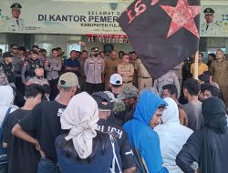 Samurai Desak Pemkab Morotai Buatkan Perda Harga Rumput Laut