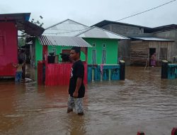 Rumah Warga hingga Sekolah di Morotai Kembali Terendam Banjir