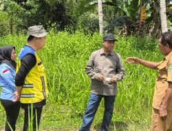 Bupati Ubaid Tinjau Rencana Pembangunan Dapur MBG di Wasile Utara 