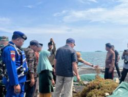 Wagub Maluku Utara dan Polair Panen Rumput Laut
