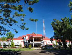 Tiga Bulan Honorer di Halmahera Barat Belum Gajian, Begini Penjelasan BKAD