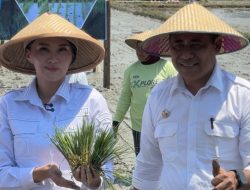 Pemprov Teguhkan Komitmen Jadikan Halmahera Timur Lumbung Pangan Daerah