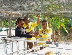 NHM Bantu BUMDES Soahukum, Tingkatkan Ekonomi Desa Lewat Budidaya Ikan Nila