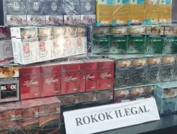 Bea Cukai Ternate Sita Ratusan Bungkus Rokok Ilegal di Taliabu 