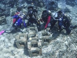 Keindahan Laut Pulau Obi Buat Marischka Prudence Tak Ingin Berhenti Menyelam
