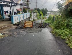 Kesal Jalan Rusak tak Diperbaiki, Warga Sangaji Utara Tanam Pohon Pisang