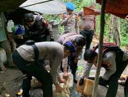 Polisi Bongkar Pabrik Miras di Halmahera Utara, Ratusan Liter Captikus Dimusnahkan 