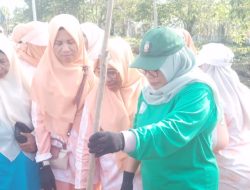 Ketua TP PKK Haltim Tanam Pohon Ketapang di Kawasan Pendopo Ngaku Re Rasai