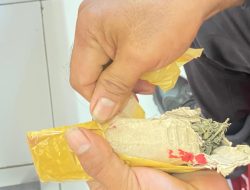 Petugas Gagalkan Penyelundupan Paket Ganja ke Rutan Ternate