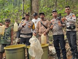 Polisi Gerebek Tempat Pembuatan Captikus di Halteng, Barang Bukti Miras Langsung Dimusnahkan