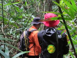 Tiga Hari Hilang di Hutan, Lansia di Sula Ditemukan Selamat 