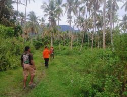 Tim SAR Terus Cari Lansia yang Hilang di Hutan Halmahera Selatan 