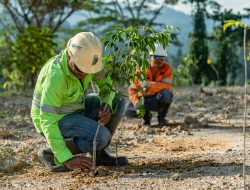 Dorong Pertambangan Berkelanjutan, NHM Rehabilitasi 232,69 Hektare Lahan