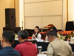 Komitmen Gubernur Sherly untuk Pembangunan Maluku Utara, Komisi V DPR RI Siap Kawal