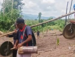 Suku Sahu Cerminan Ketahanan Pangan di Halmahera Barat, Geothermal Bukan Solusi