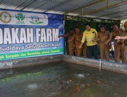 Perkuat Ekonomi Desa, NHM Hadirkan Infrastruktur Perikanan di Lingkar Tambang