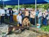 Wagub Maluku Utara Saksikan Penyembelihan Hewan Kurban, Ini Pesannya