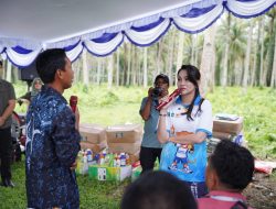 Panen Cabai Perdana, Gubernur Serahkan Puluhan Alsintan ke Petani Halmahera Utara 