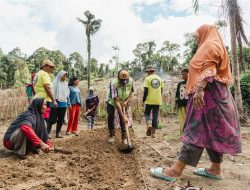 Kebun Hortikultura Jadi Ruang Kemandirian Perempuan di Pulau Obi