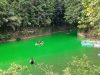 Ketika Hutan Hilang, Masa Depan Dipertaruhkan