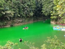 Ketika Hutan Hilang, Masa Depan Dipertaruhkan
