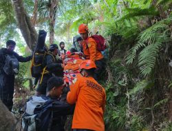 Jatuh Sakit di Gunung Gamalama, Pendaki Perempuan Dievakuasi Pakai Tandu