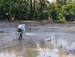 Dorong Pertanian Modern, NHM Fasilitasi Petani dengan Program PPMAAS