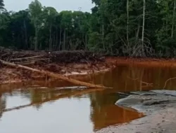 Hasil Pemeriksaan Terhadap PT Feni Harus Dibuka ke Publik