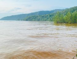 Hadirnya PT Feni Renggut Sumber Penghidupan warga Haltim