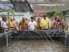 Sinergi Apik Pemda Halut dan NHM Berbuah Manis, Budidaya Ikan Nila Sukses