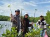 PT Position Lanjutkan Penanaman Mangrove di Pesisir Pantai Kasuari Halmahera Timur