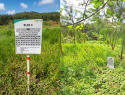 Inovasi Slag dari Obi Raih Mining Magazine Award 2026, Harita Nickel Dorong Praktik Pertambangan Bertanggung Jawab