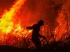 462 Hektare Lahan di 10 Provinsi Masih Terdampak Karhutla, Termasuk Maluku Utara 