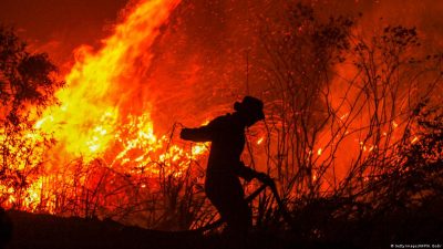 462 Hektare Lahan di 10 Provinsi Masih Terdampak Karhutla, Termasuk Maluku Utara 